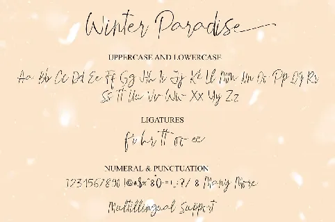 Winter Paradise Script font