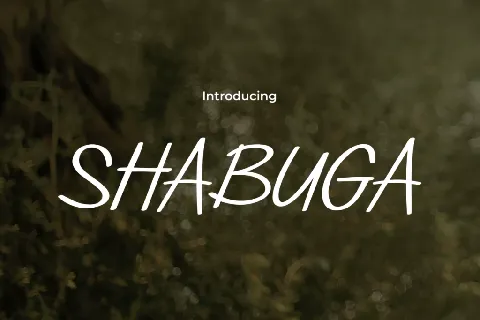 SHABUGA font