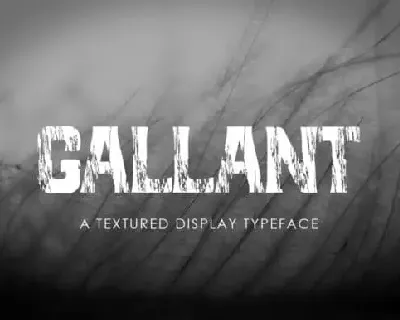 Gallant Display font