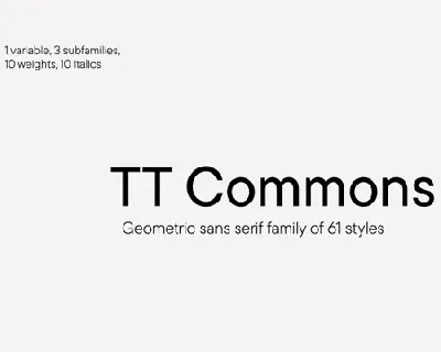 TT Commons Pro Family font