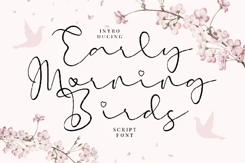 Early Morning Birds font