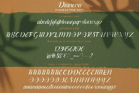 Dianora Handwritten Script font