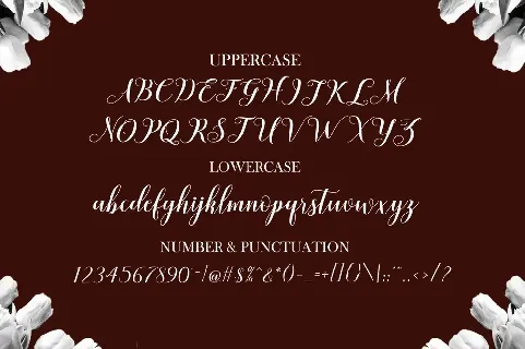 Shafira font