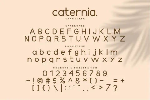 Caternia font