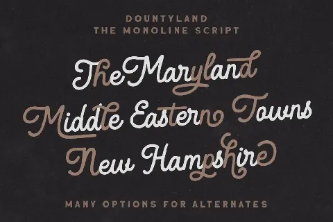 Dountyland font