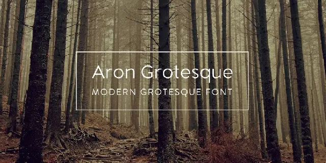 Aron Grotesque font