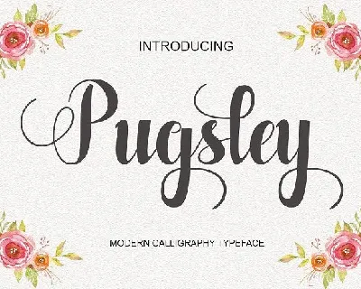 Pugsley Script font