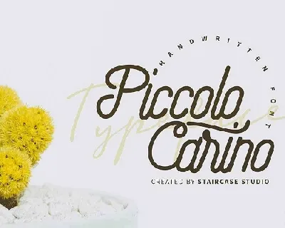 Piccolo Carino Monoline Script font