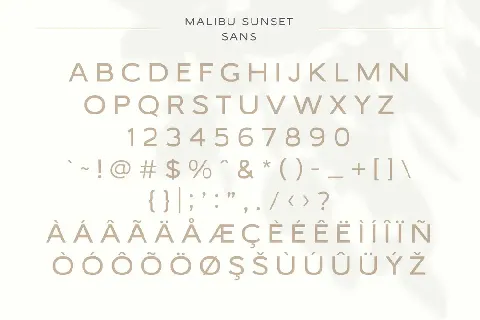 Malibu Sunset Free font