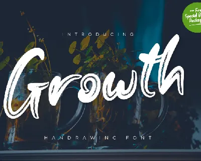 Growth Brush font