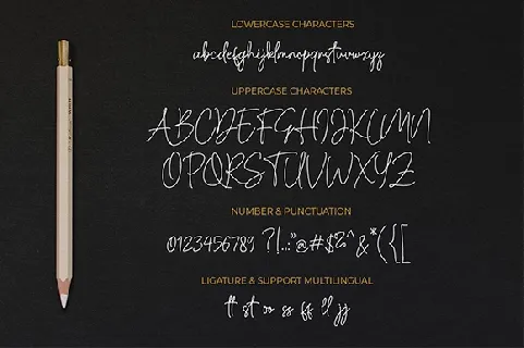 Cassual Signature font