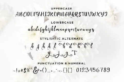 Bungalow Script font