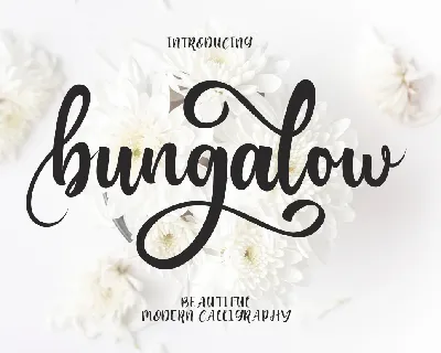 Bungalow Script font