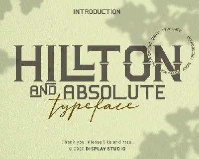 Hillton and Absolute font