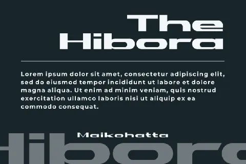 Hibora font