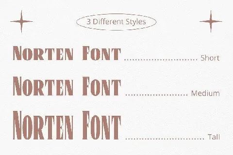 Norten font