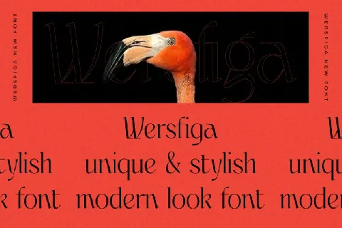Wersfiga Typeface font