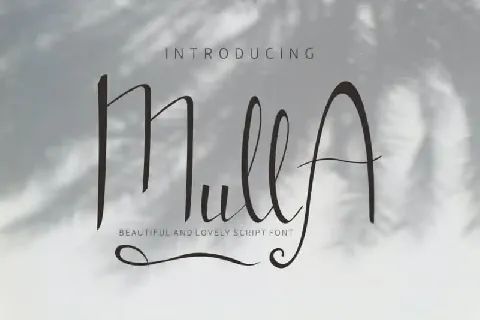 Mulla Handwritten font