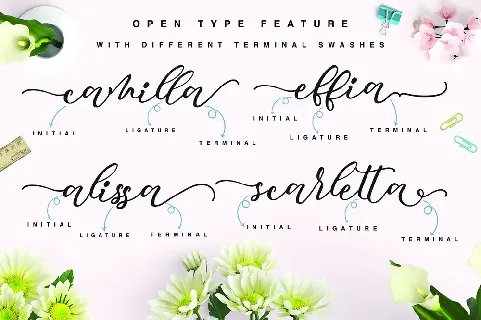 Mocking Script font