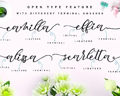 Mocking Script font