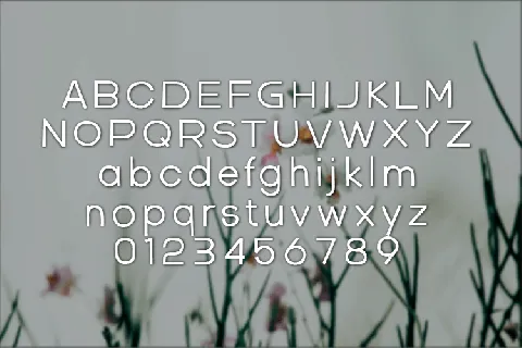 Handorty font