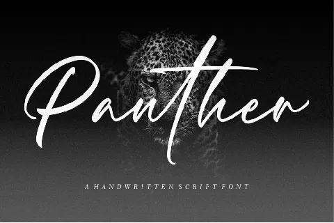 Panther Demo font