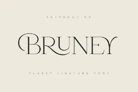 Bruney font