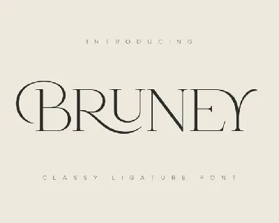 Bruney font