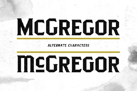 Pittsbrook Serif Typeface font