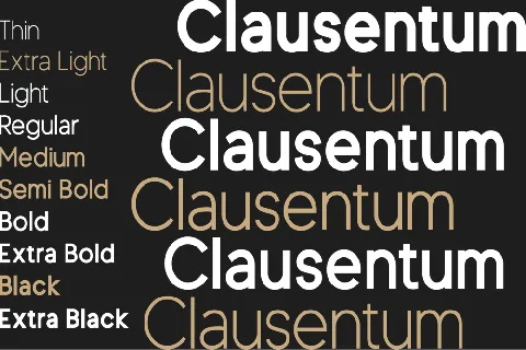 Clausentum font