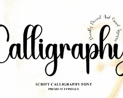 Calligraphy Script Typeface font