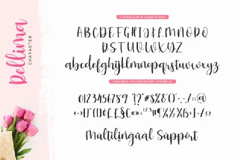 Rellima Script font