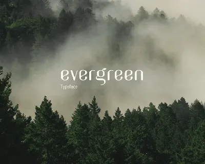 Evergreen font