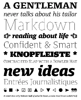 Harrison Serif Pro Family font
