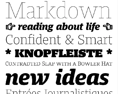 Harrison Serif Pro Family font