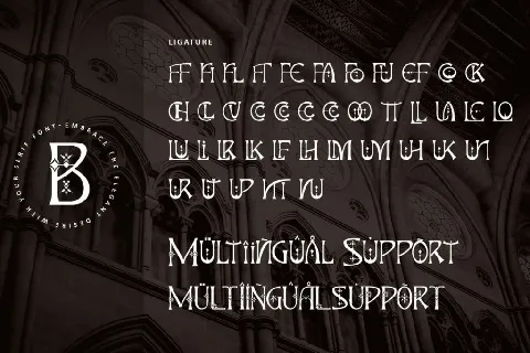 Charming Ornate - Personal use font