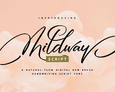 Mildway font