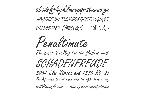 Freestyle Script font