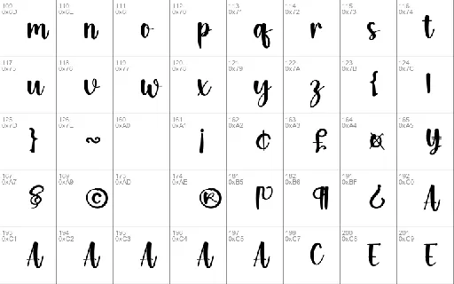 Bounce Typeface font