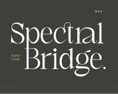 Spectral Bridge font
