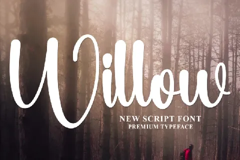Willow Typeface font