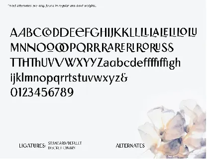 Saphion font