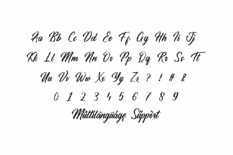 Hamsterly Script font