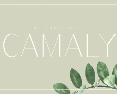 Camaly Sans Serif font