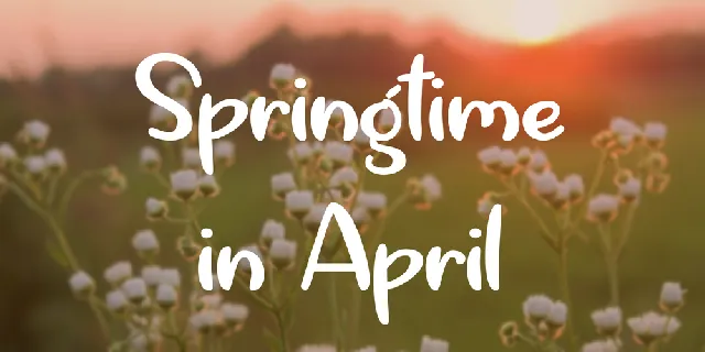 Springtime in April font