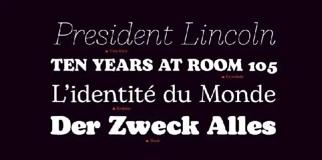 Bogart Serif Family font