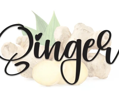Ginger Script font