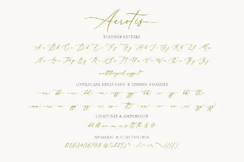 Aerotis Calligraphy font