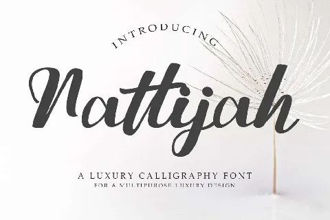 Nattijah font