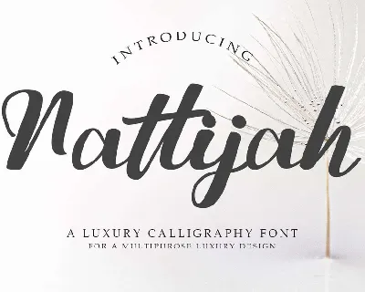 Nattijah font